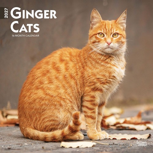 Ginger cats 2027 - ginger, kalender