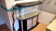 #AQ Aquarium, konvex geformt