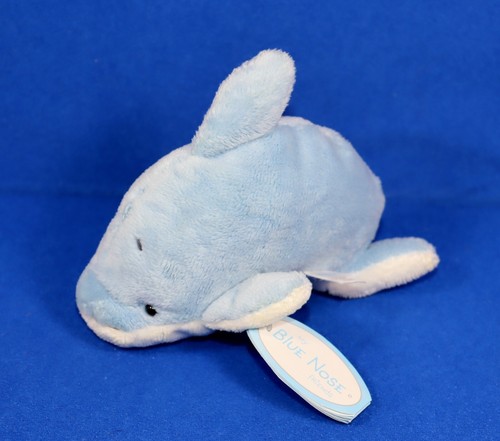 Delfin scuba blue - blue, nose