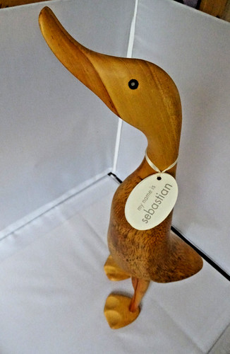 The duck company - the,