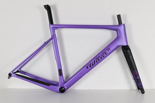 Wilier rave slr - carbon, gravel
