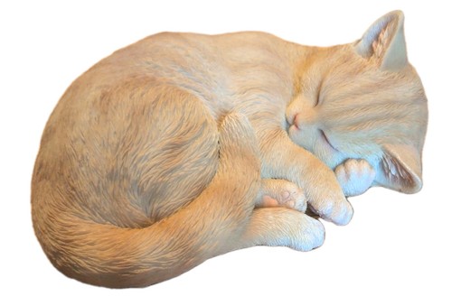 Sleeping ginger cat - cat, vivid