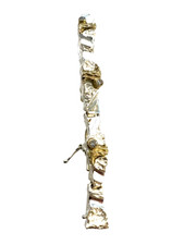 Armband mit Struktur