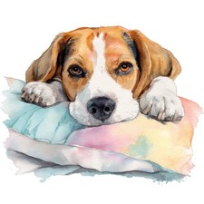 2x Sticker Beagle Car Sticker