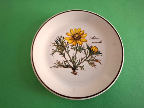 Villeroy boch botanica - botanica, *