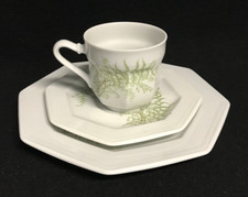 Gallo - Leonardo - Fougere /