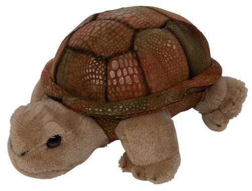 Teopet schildkröte - teopet,