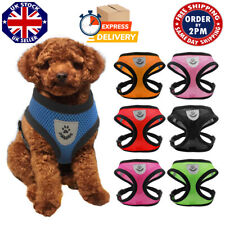 Haustiergeschirr Auto Hund