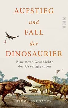 Aufstieg und fall der - aufstieg,