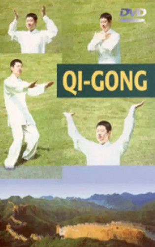 Gong - qi,