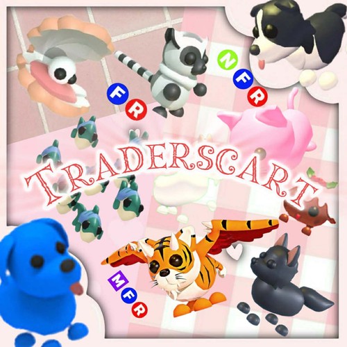 Adopt pets exotics - me,