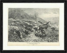 Szene bei einem eingestellten Jagen auf Sauen Zaun Hirsch Wild  Faksimile_A 1594