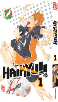 Haikyu pegasus manga - pegasus,