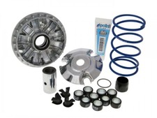 Variomatik Variator Polini