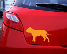 Samunshi Dogo Canario Hunde