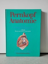 Urban&Schwarzenberg Pernkopf Anatomie 2.Band Bauch,Becken und untere Extremität