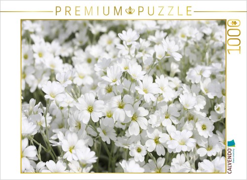 Calvendo puzzle filziges - puzzle,