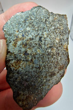 Meteorit NWA 869, L3-6. Chondrit. – 66 g, IMCA Zertifikat