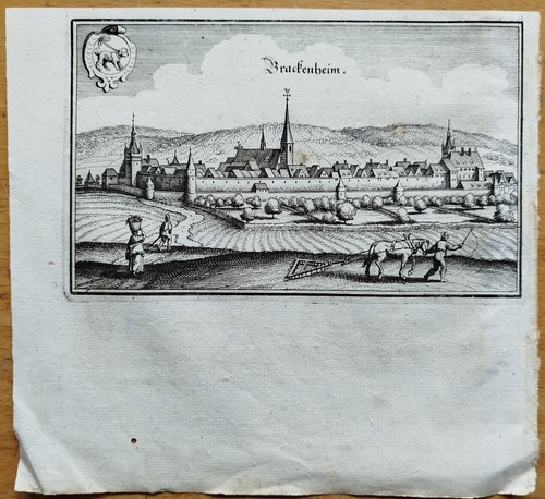 Merian original kupferstich - merian,