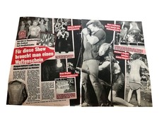 AC/DC Bravo 2 Seiten 