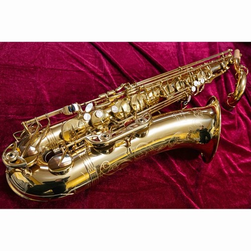 Yanagisawa wo10 - yanagisawa, t-wo10