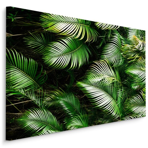 Canvas leinwand bilder xxl - bilder,