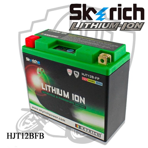 Batterie litio skyrich - batterie,