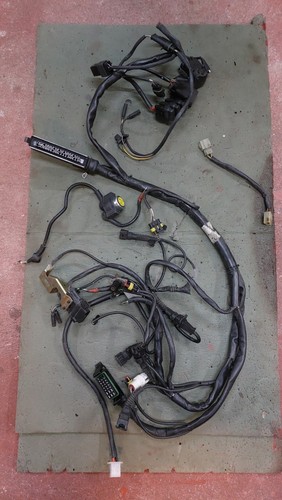 Kabelbaum ducati st2 - kabelbaum,