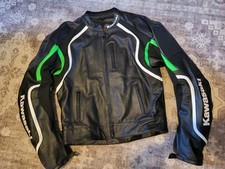 Neu Kawasaki Z Rider Racing
