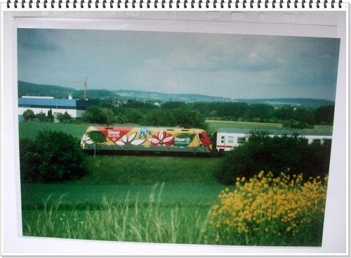 Bild von elok - bild, 101