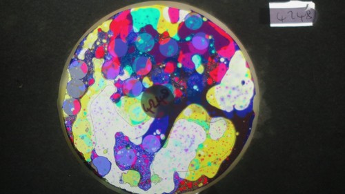 Bubble vision ölrad - Ölrad, mit