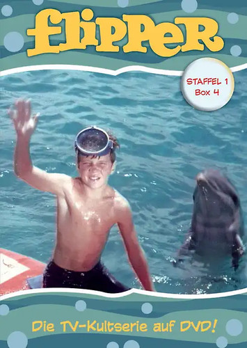 Flipper staffel box - -, 4