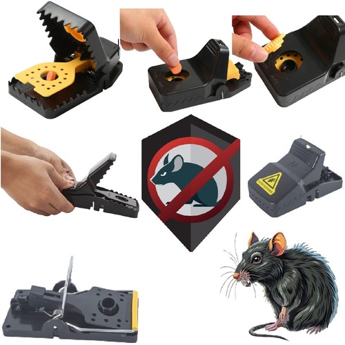 Rattenfalle ratten ratte - ratten, falle