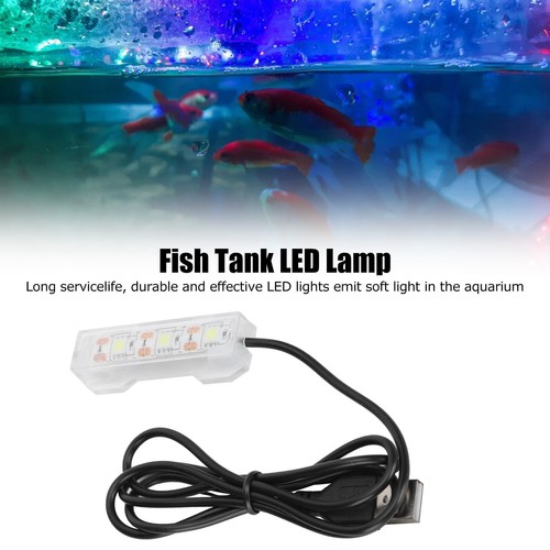Kleine aquarium wasser - aquarium,