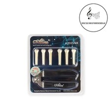 Gitarre 6 stk. Brückenstifte