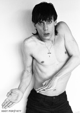 Iggy pop poster - pop,