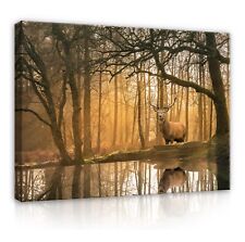 HIRSCH TIERE WALD Leinwandbild Groß Wandbilder Leinwand Bilder Canvas Wandbild