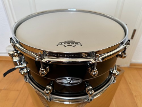 Pearl hybrid exotic - pearl,