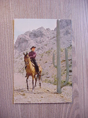 Winnetou unter geiern karl - unter,