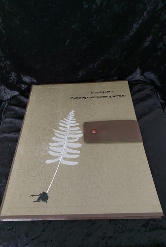 Herbarium konvolut von - herbarium,,