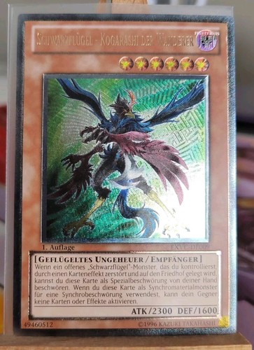 Schwarzflügel kogarashi der - kogarashi,