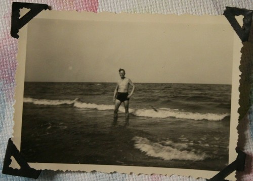 Foto boltenhagen ostsee - foto,