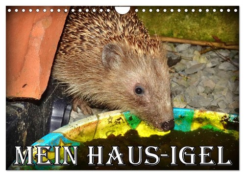 Mein haus igel wandkalender - mein, (wandkalender