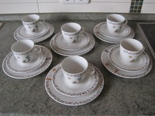 Winterling Tequila Kaktus 6