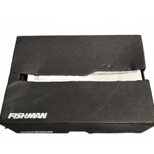 Fishman Rare Earth Schallloch