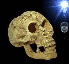 TOP Aquarium Deko 🍀 Totenkopf 🍀 Totenschädel Terrarium Zubehör Höhle Skull