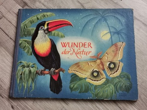 Ddr kinderbuch wunder der - wunder,