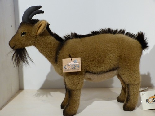Kösen ziege hanni - kösen, "hanni"