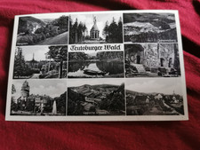 AK Teutoburger Wald, verschiedene Ansichten, 50-er Jahre, gelaufen