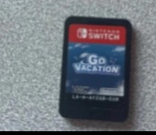 Vacation für nintendo - go,